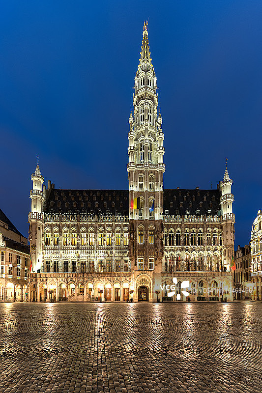 比利时布鲁塞尔大广场和市政厅图片素材