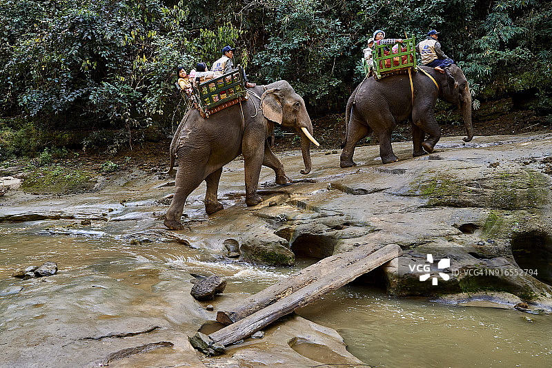 缅甸阿拉温道·卡塔帕国家公园里的大象图片素材