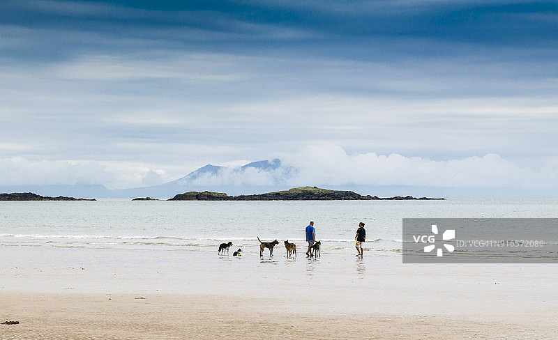 带着狗的一家人在Cymyran海滩接近Rhosneigr：威尔士海岸小路位于安格尔西岛的北部和西部海岸图片素材