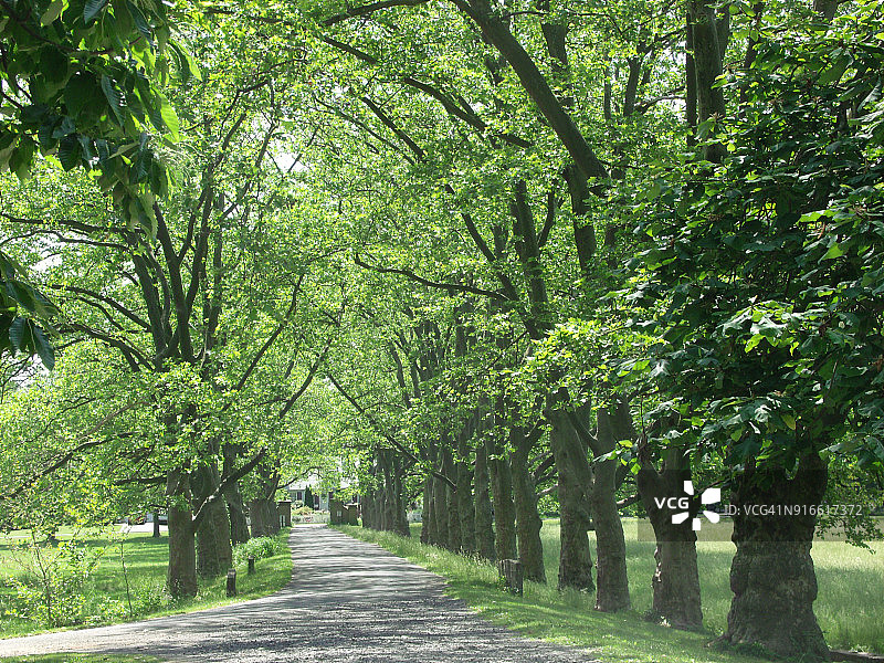 巴克斯县风景图片素材