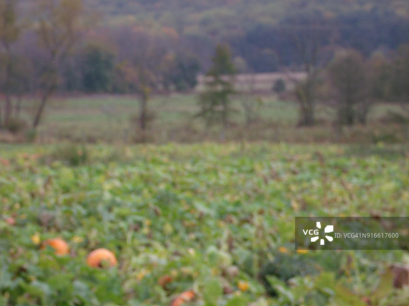 巴克斯县风景图片素材