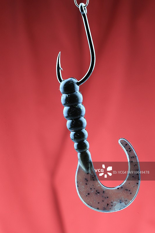 卡罗莱纳钓组上的大口黑鲈钓鱼蠕虫图片素材