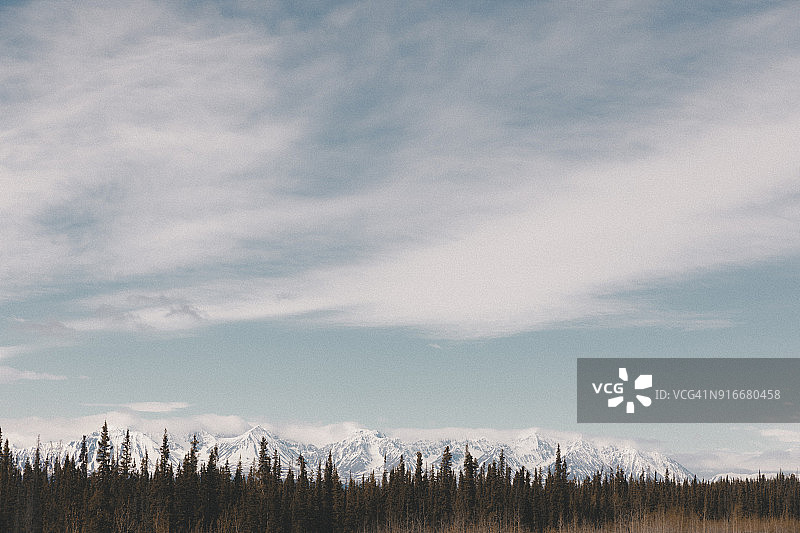 雪山山脉附近的树木图片素材