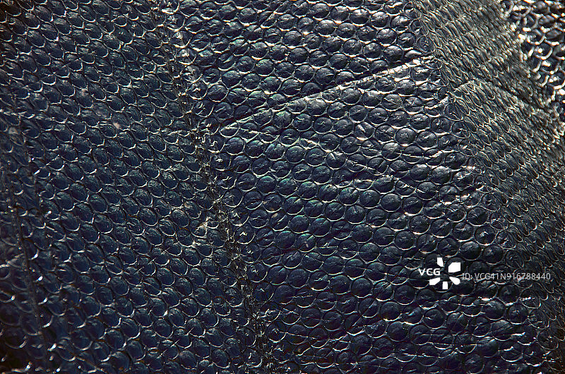 汽车窗户下的金属银箔手风琴遮阳帘图片素材