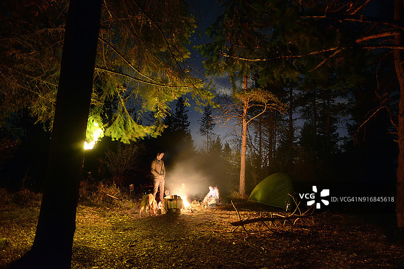 朋友们在夜晚的林地里篝火旁露营图片素材