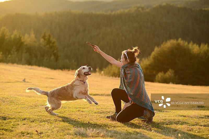 年轻女子在日落时分的山谷中与金毛寻回犬玩耍图片素材