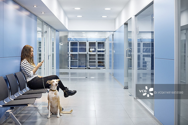 女人等待医生为她的狗检查身体图片素材