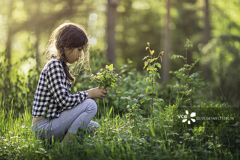 女孩在森林里采摘野花图片素材