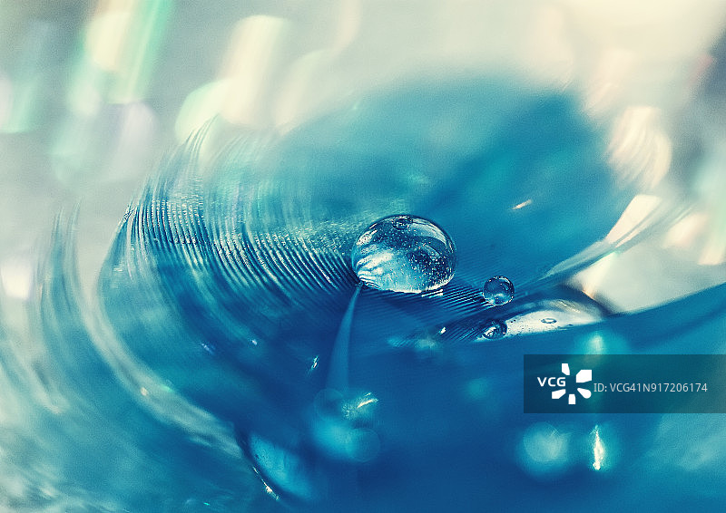 蓝色羽毛上的水滴：柔和焦点的抽象微距图片素材