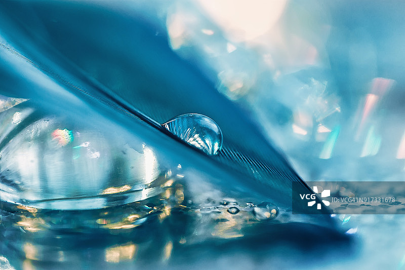 水滴点缀的蓝绿色羽毛：抽象羽毛微距，柔和散焦图片素材