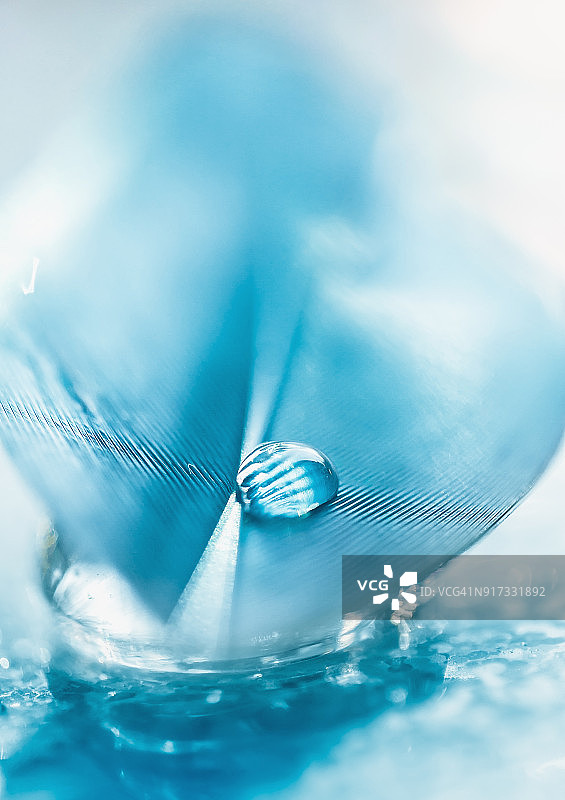 蓝色羽毛上的水滴：柔和焦点的抽象微距图片素材