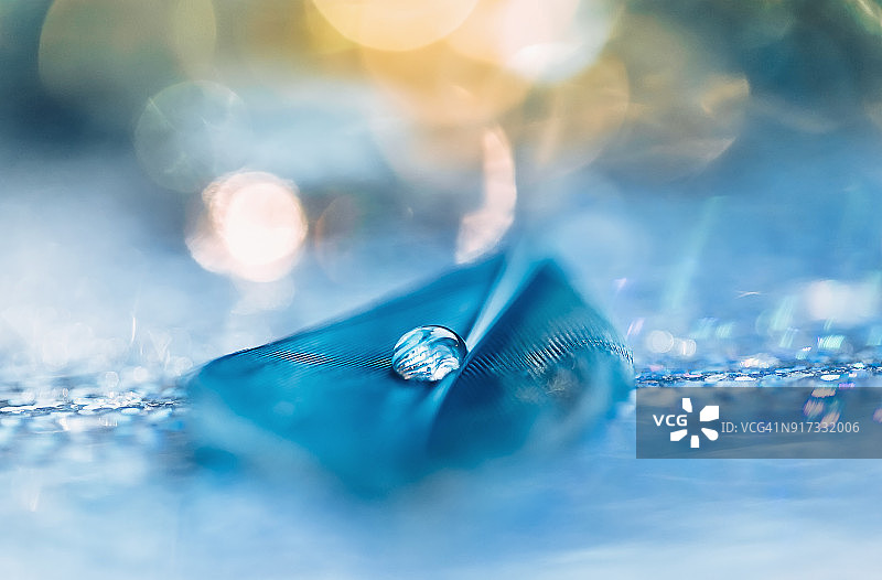 蓝色羽毛上的水滴：柔和焦点的抽象微距图片素材