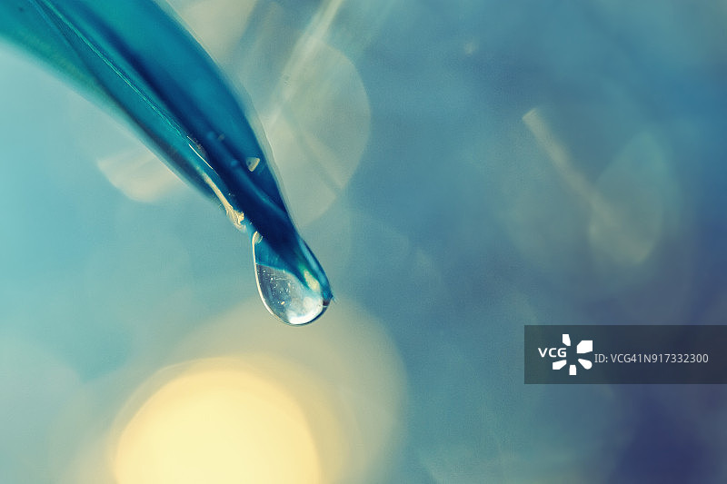 带露珠的抽象水绿色羽毛图片素材