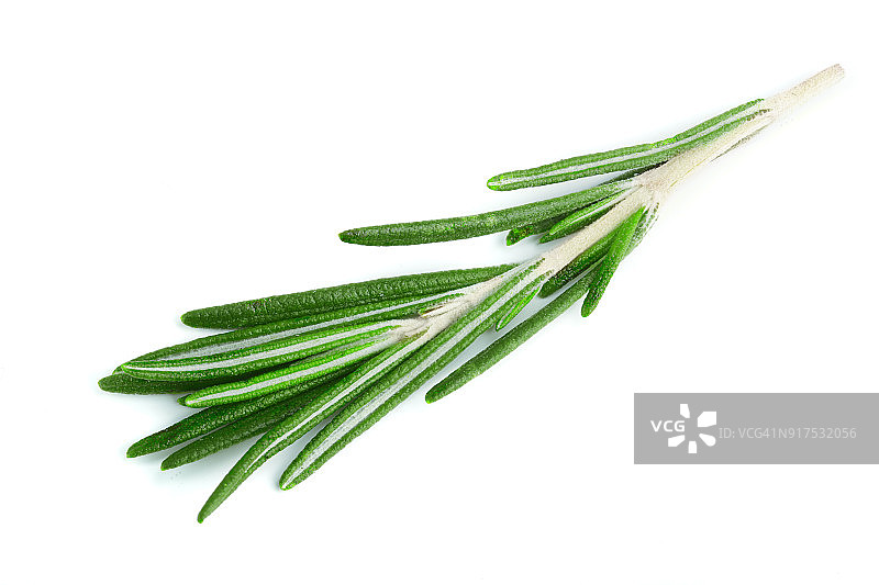 白色背景上的新鲜绿色迷迭香，顶部视图图片素材