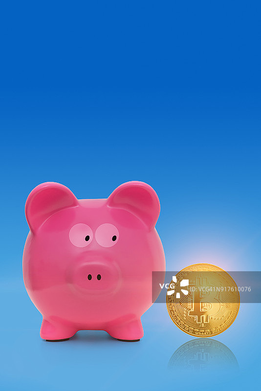 小猪看着比特币加密货币图片素材
