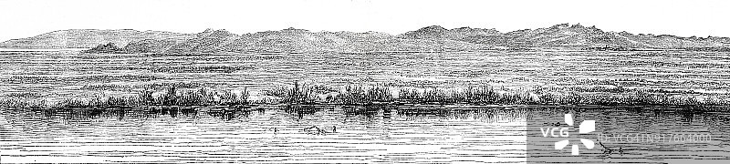 多布罗加附近的 feverland图片素材