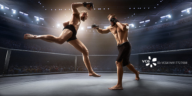 职业拳击台上的综合格斗选手图片素材