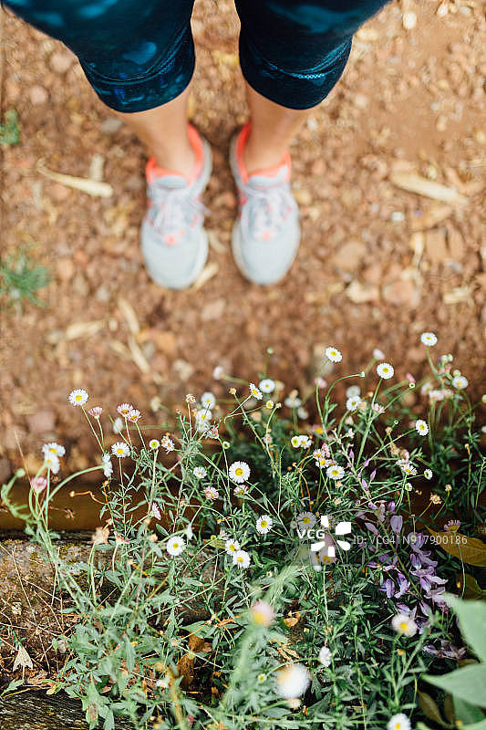 野花丛前的脚图片素材