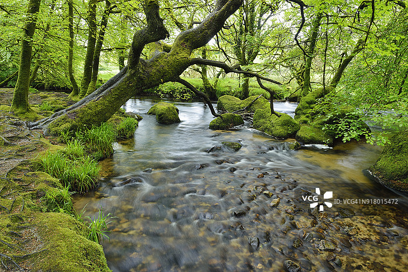 福威河戈利萨瀑布：英国康沃尔利斯克德戈利萨瀑布图片素材