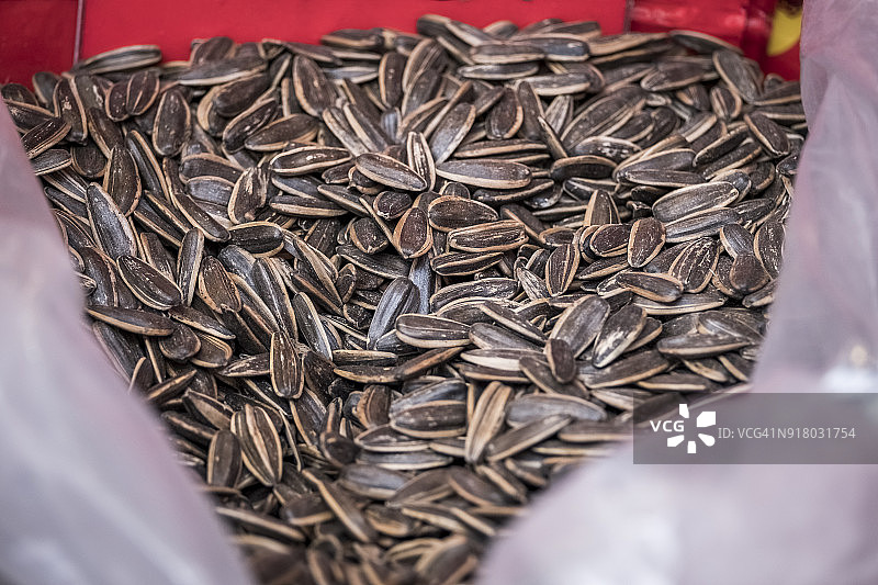 向日葵的种子图片素材