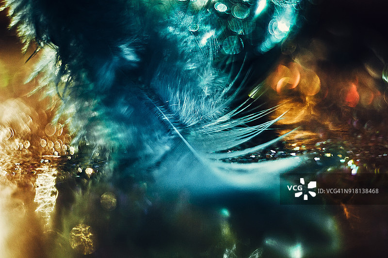 黄色散景背景上的蓝色小鸟羽毛。抽象艺术微距照片图片素材