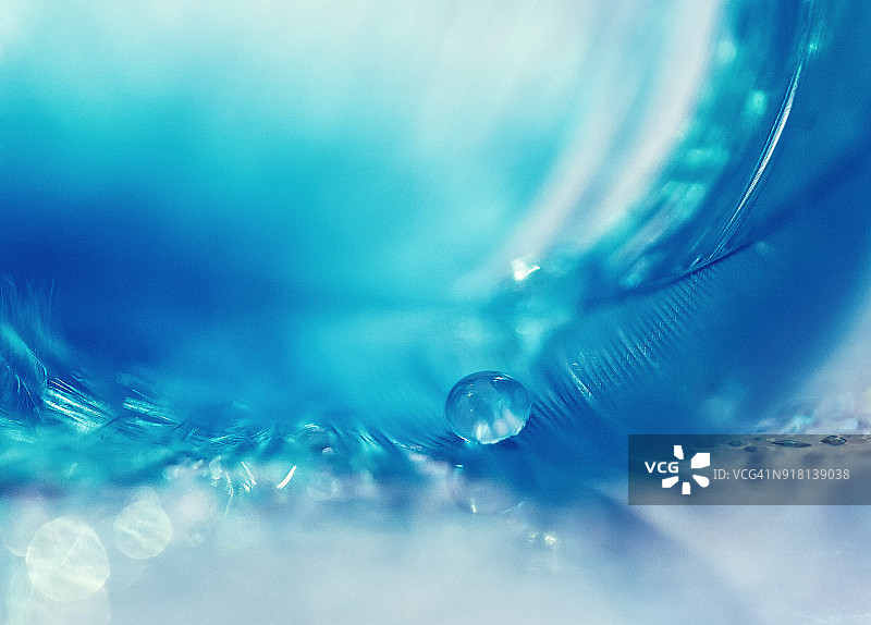 特写镜头下带水滴的柔和蓝色羽毛微距，精美艺术，选择性聚焦图片素材