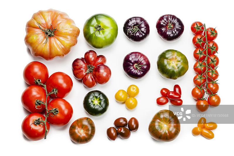 白色背景下的各种番茄图片素材