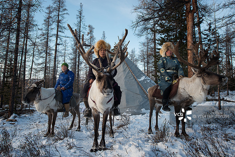 蒙古查坦族驯鹿女孩图片素材