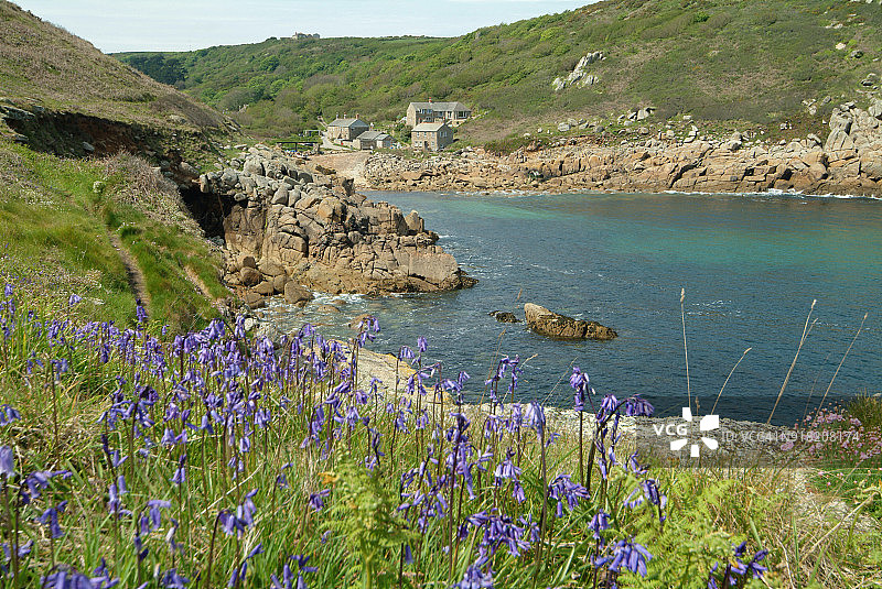 彭伯斯海湾的春天鲜花和风铃草图片素材
