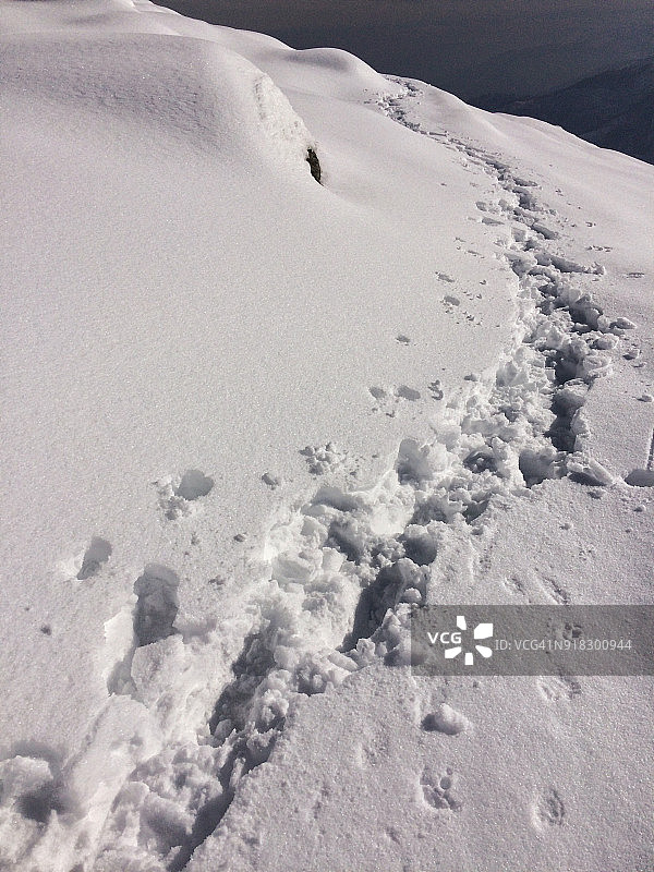 二月的雪鞋运动图片素材