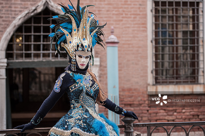 在威尼斯狂欢节服装中摆姿势的迷人女性图片素材