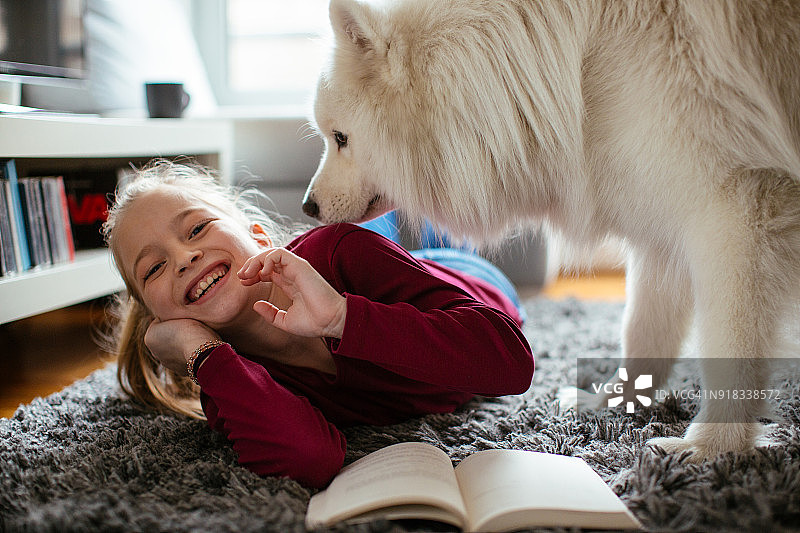 美丽的金色头发女孩在家和萨摩耶犬玩耍图片素材