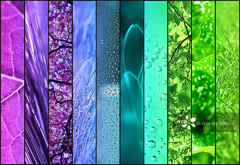 自然色彩拼贴图片素材