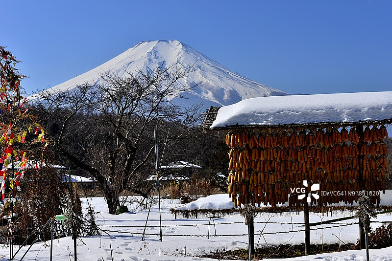 山梨县忍野村的富士山雪景图片素材