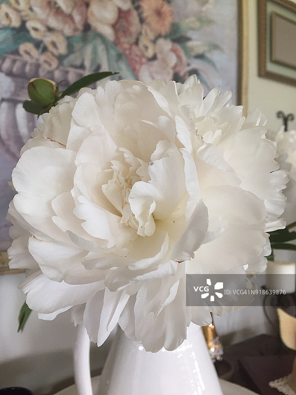 中国新年图片素材