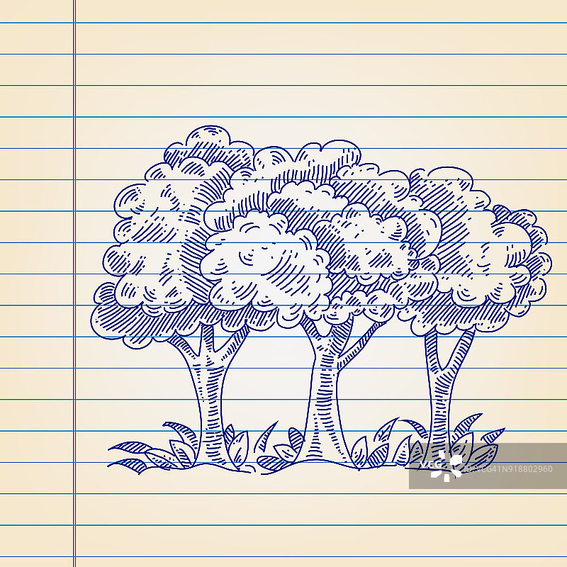 画在横格纸上的树木图片素材