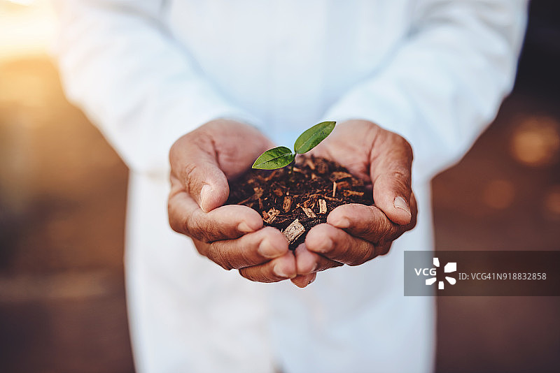 培养更好的健康和福祉图片素材