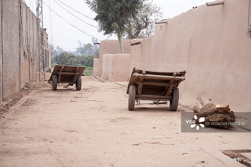 乡村街道上的牛车图片素材