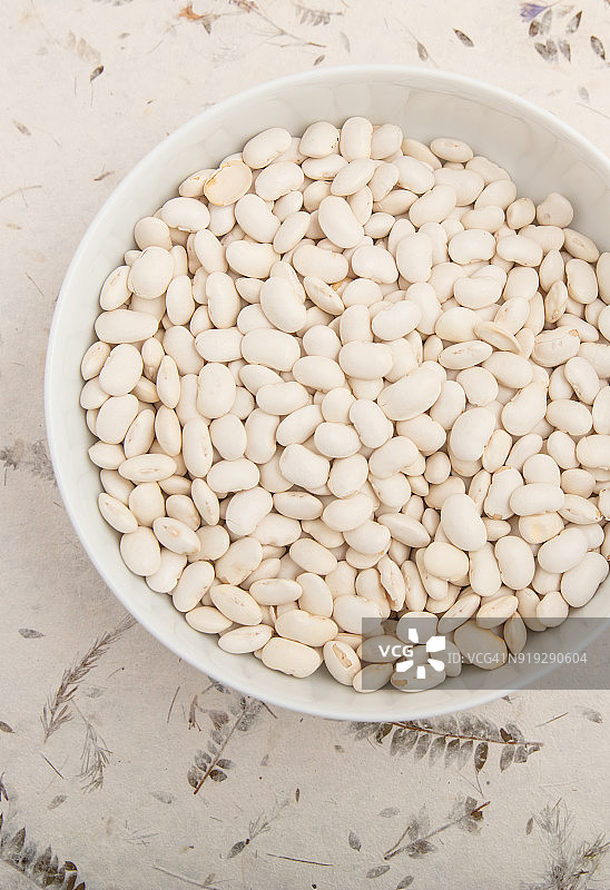 海军豆图片素材