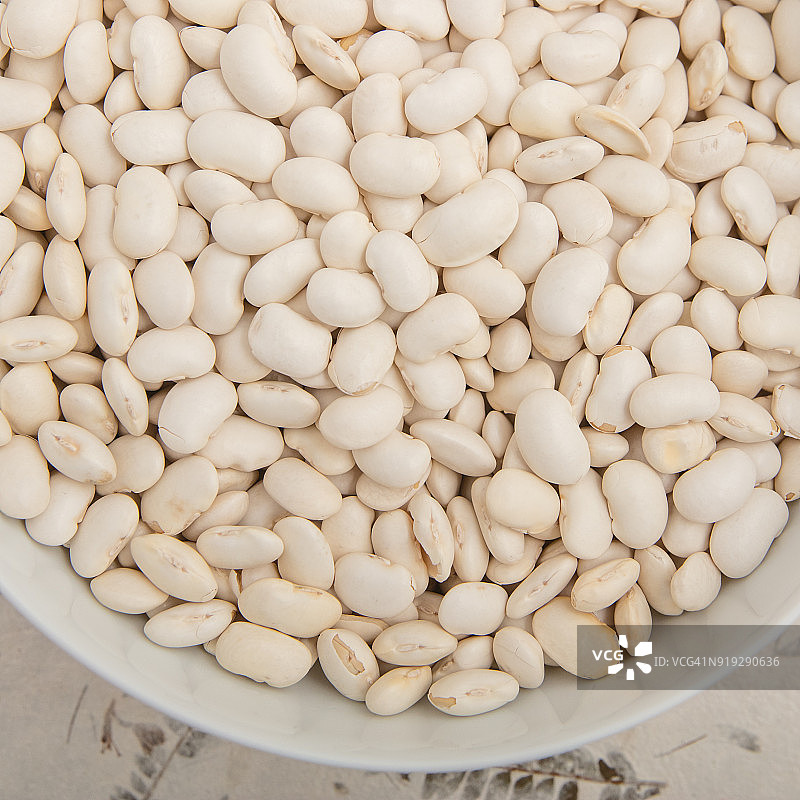 海军豆图片素材