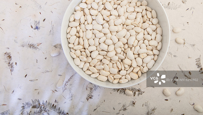 海军豆图片素材