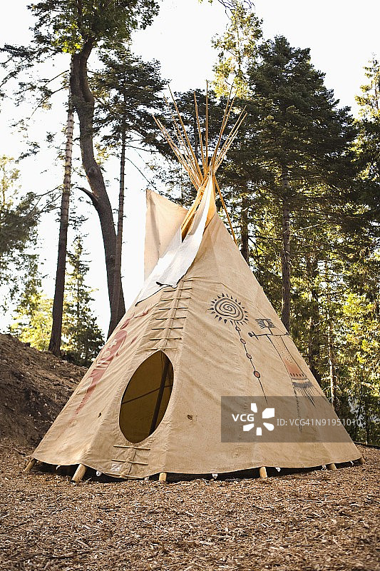 森林里的帐篷图片素材