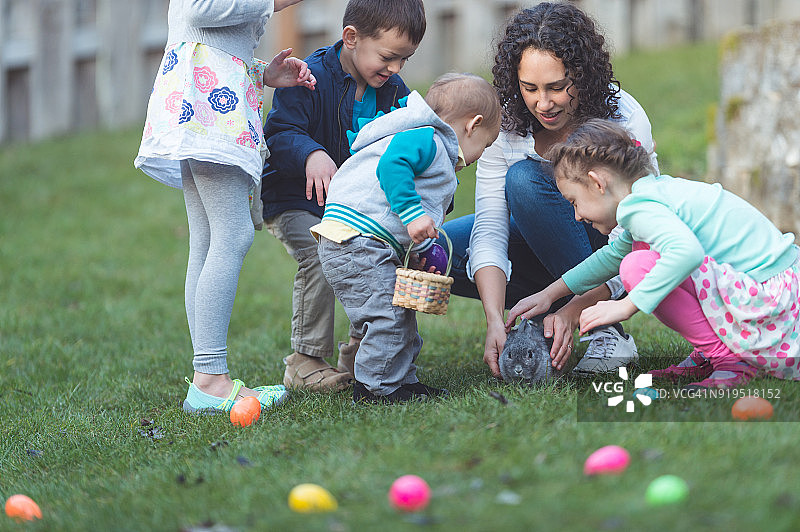 后院复活节彩蛋寻宝中的兔子！图片素材