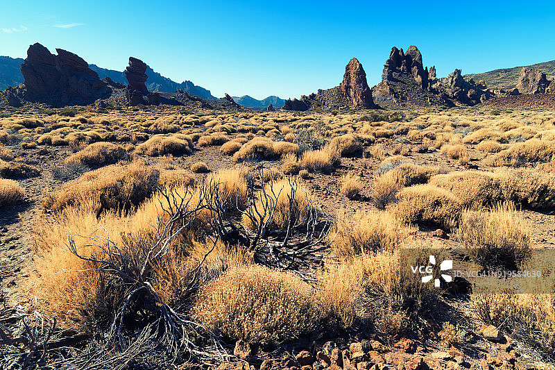 西班牙加那利群岛圣克鲁斯-德特内里费洛斯罗克斯-德加西亚图片素材