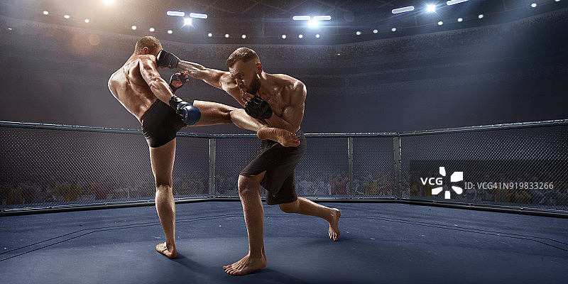 职业拳击台上的综合格斗选手图片素材