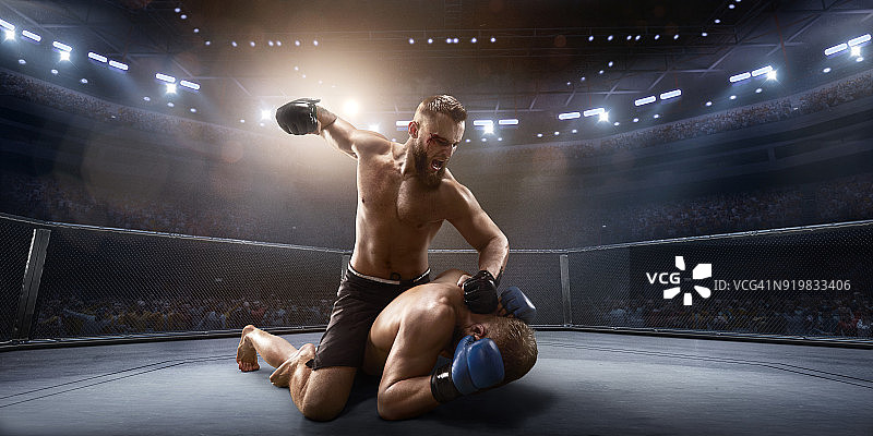 职业拳击台上的综合格斗选手图片素材