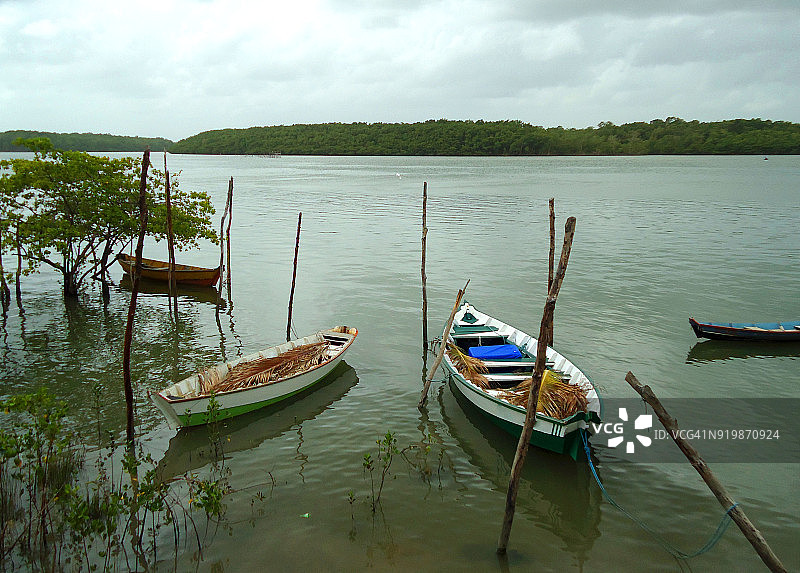 巴西帕拉州萨利诺波利斯渔港图片素材