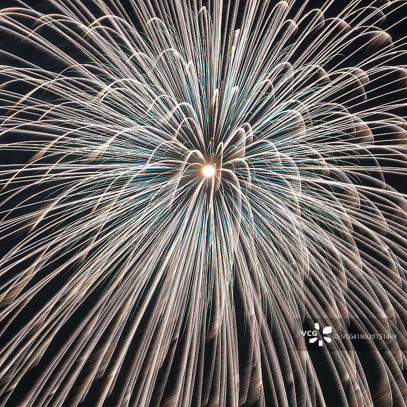 昭和纪念公园烟花图片素材