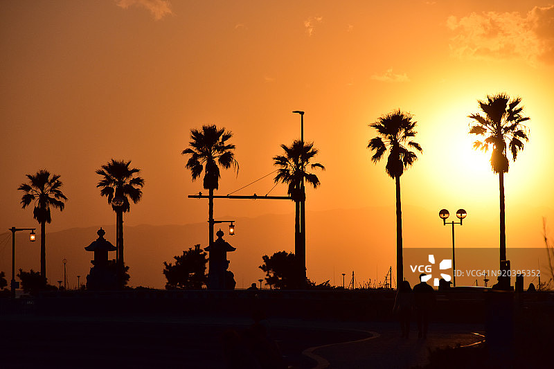 日本神奈川县藤泽市江之岛入口道路的傍晚阳光和棕榈树图片素材