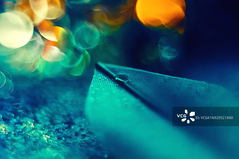 黄色散景背景上的水蓝色鸟羽抽象艺术微距照片图片素材